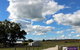Short Sheep Micro-Winery - thumb 8