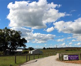 Short Sheep Micro-Winery - Accommodation Bookings 8