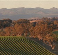 Angullong Wines - Accommodation Bookings