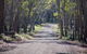 Coolah Tops National Park - thumb 1