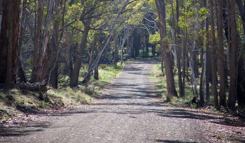 Coolah Tops National Park - Accommodation Bookings 1