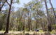 Coolah Tops National Park - thumb 0