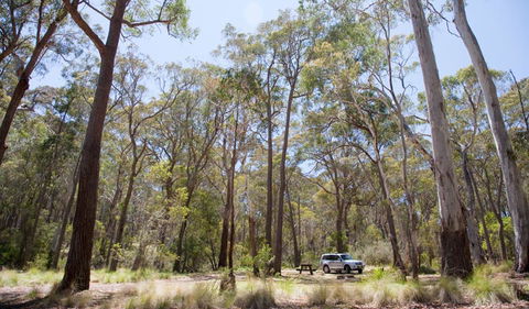 Coolah Tops National Park - Accommodation Bookings 0