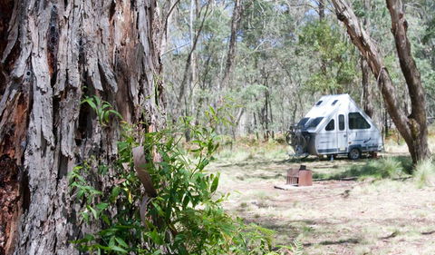 Coolah Tops National Park - Accommodation Bookings 2