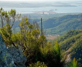 Mount Larcom Climb - Accommodation Bookings 1