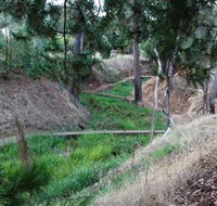 Lions Club Bicentennial Walk - Accommodation Bookings