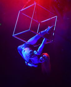 Dracula's Cabaret Restaurant - Accommodation Bookings 4