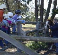 Harlow Park Horse Riding - Accommodation Bookings