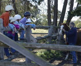 Harlow Park Horse Riding - Accommodation Bookings 0