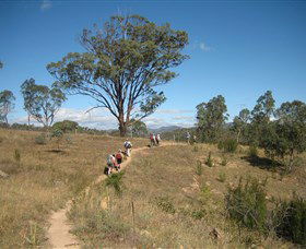 Kambah Pool To Pine Island - Accommodation Bookings 1
