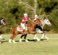 Morgan Park Warwick - Accommodation Bookings
