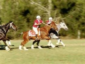 Morgan Park, Warwick - Accommodation Bookings 0