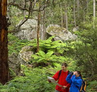Centennial Glen - Accommodation Bookings