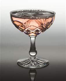 Polit Bar - More Than Cocktails - Accommodation Bookings 2