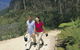 Blue Mountains Walking Tracks - thumb 0