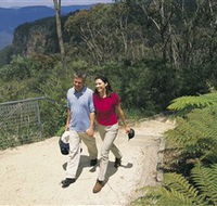 Blue Mountains Walking Tracks - Accommodation Bookings