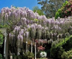 Mount Wilson NSW Accommodation Bookings