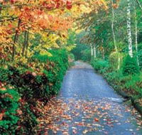Mount Wilson and Mount Irvine - Accommodation Bookings