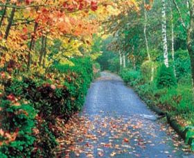 Mount Wilson And Mount Irvine - Accommodation Bookings 0