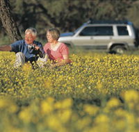 Coalseam Conservation Park - Accommodation Bookings