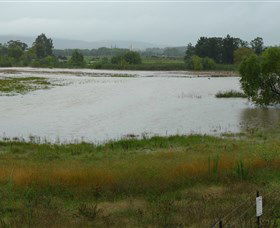Jerrabomberra Wetlands - Accommodation Bookings 1