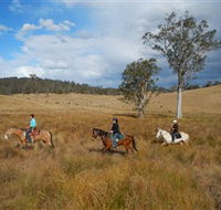Chapman Valley Horse Riding - Accommodation Bookings