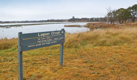 Lagoon Circuit Walking Track - Accommodation Bookings 0