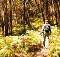Federal Pass - Accommodation Bookings