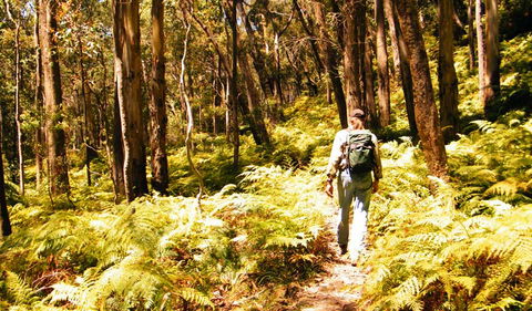 Federal Pass - Accommodation Bookings 0