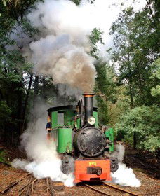 Coal Creek Community Park And Museum - Accommodation Bookings 4