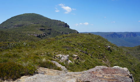 Mount Banks Road Cycle Route - Accommodation Bookings 0
