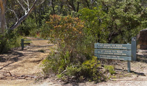Mount Banks Road Cycle Route - Accommodation Bookings 1