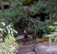 Leura Cascades Fern Bower - Accommodation Bookings