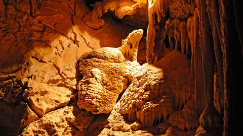 Wombeyan Karst Conservation Reserve - Accommodation Bookings 2