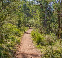 Mares Forest Creek walking track - Accommodation Bookings