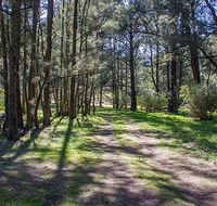 Wombeyan Waterfall walking track - Accommodation Bookings
