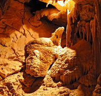 Fig Tree Cave - Accommodation Bookings