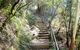 Nature Track - thumb 0