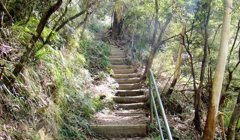 Nature Track - Accommodation Bookings 0
