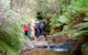 Nature Track - thumb 1
