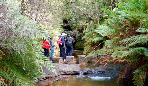 Nature Track - Accommodation Bookings 1