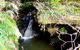 Nature Track - thumb 2