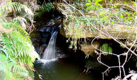 Nature Track - Accommodation Bookings 2