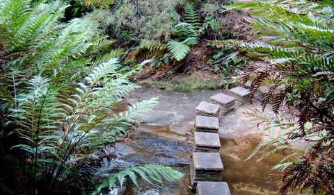 Nature Track - Accommodation Bookings 3