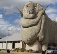 Big Merino - Accommodation Bookings