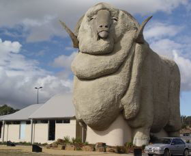Big Merino - Accommodation Bookings 0