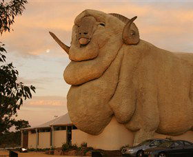 Big Merino - Accommodation Bookings 3