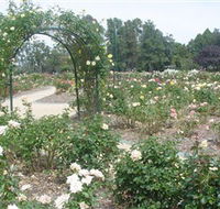 Victoria Park Rose Garden - Accommodation Bookings