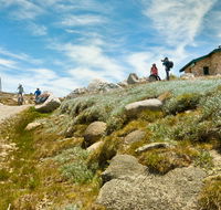 Mount Kosciuszko Summit walk - Accommodation Bookings