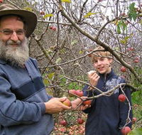 Pine Crest Orchard - Accommodation Bookings